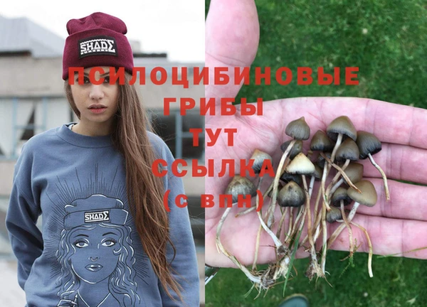 твердый Горнозаводск