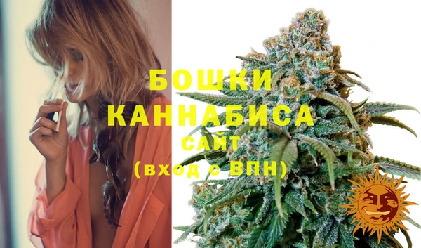 твердый Горнозаводск