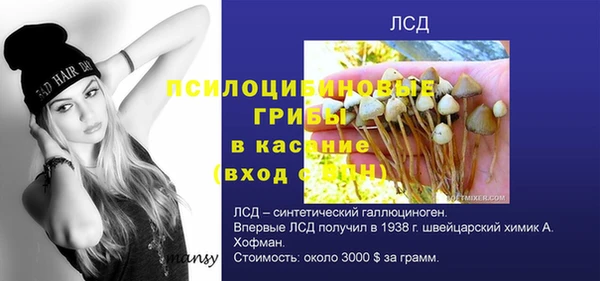 Альфа ПВП Горно-Алтайск