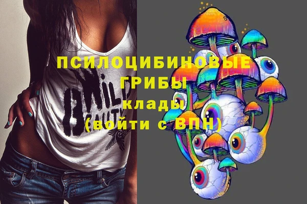 мдма Горняк