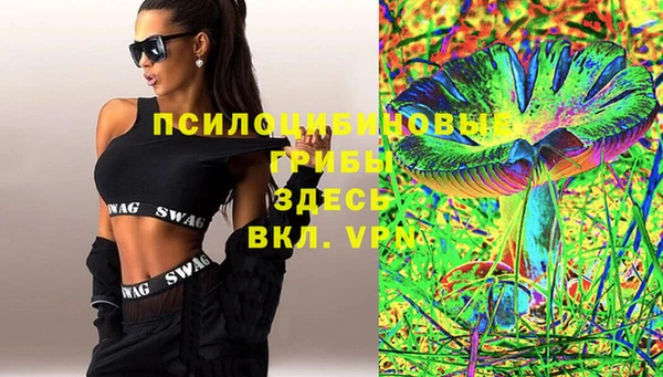 твердый Горнозаводск